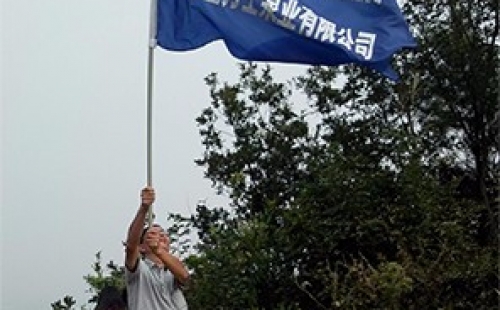 豐富的企業活動